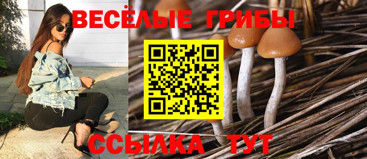Псилоцибиновые грибы Psilocybe  Вход с VPN  Ленинск-Кузнецкий  купить   Псилоцибиновые грибы MAGIC MUSHROOMS 